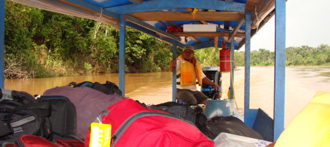 Now back from the Amazon