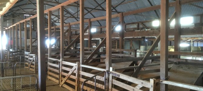 The Woolshed