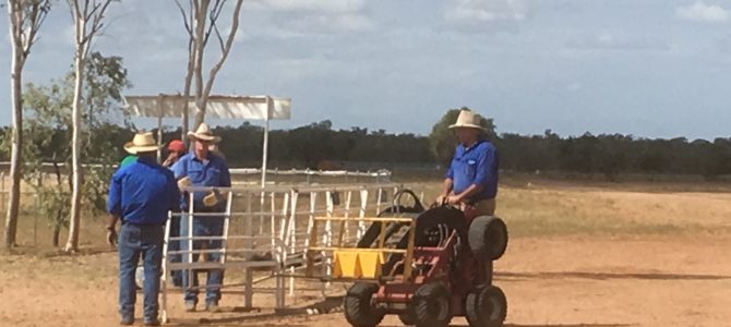 Preparation for the Landsborough Flock Ewe Society