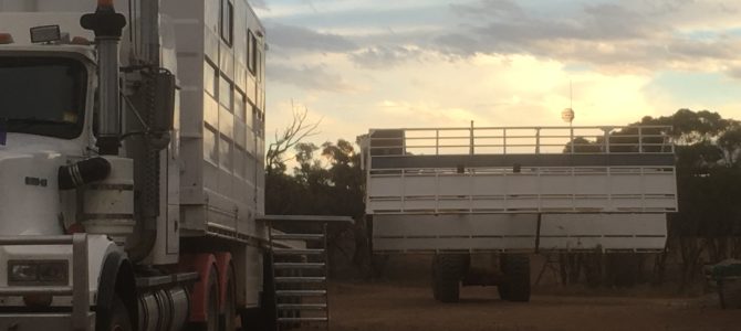 An Easy Way To Assemble Your Horse Float