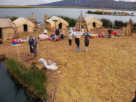 Reed Island