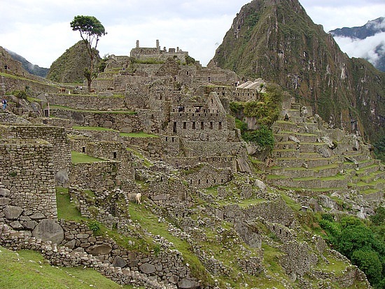 Machu Picchu