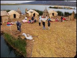 Reed Island