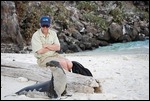 Play with a sea lion