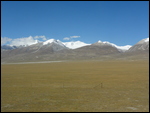 The View