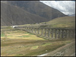 The Track