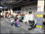 Varanasi Station