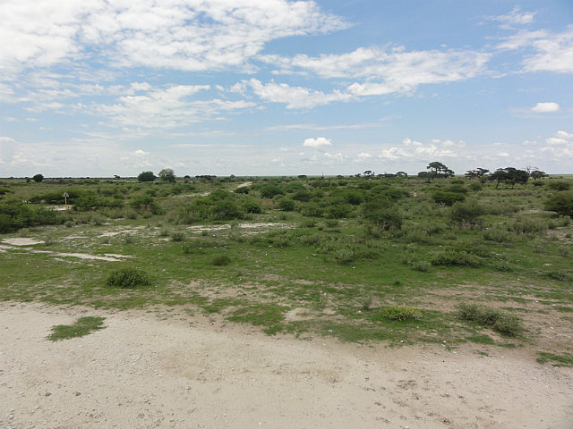 The Road To The Centre Of The Kalahari