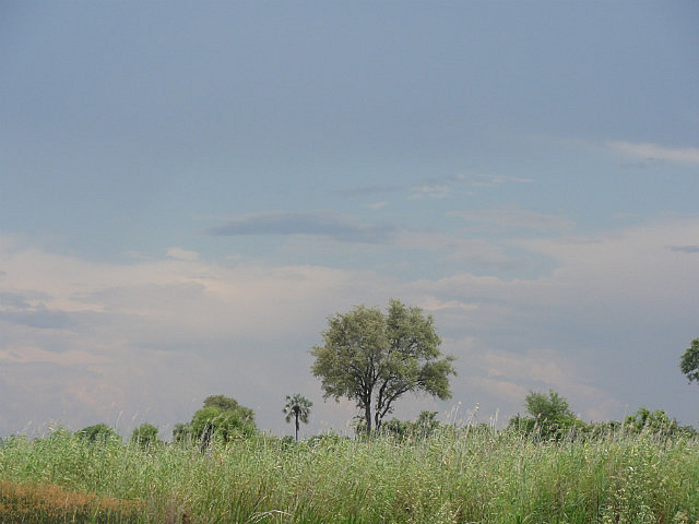 Rain Over The Okavango