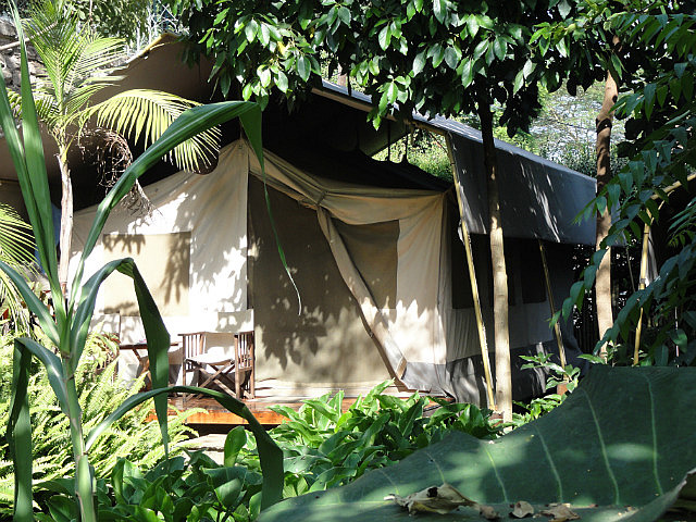 Our Deluxe Tent
