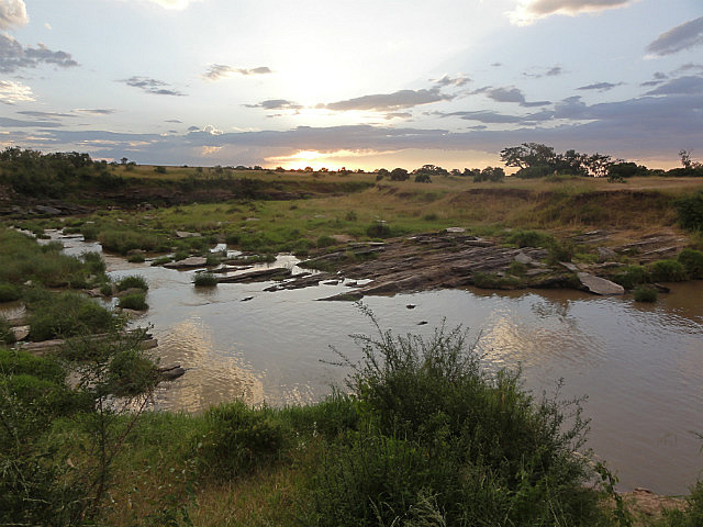 Hippo Pool At Sunset