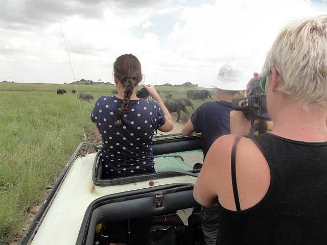 On Safari