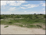The Road To The Centre Of The Kalahari
