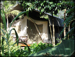 Our Deluxe Tent