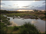 Hippo Pool At Sunset