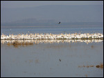 Lake Nakaru