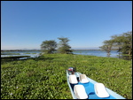 Lake Naivasha