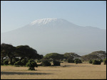 Mt Kilimanjaro