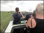 On Safari