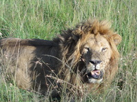 Travel blog thumbnail