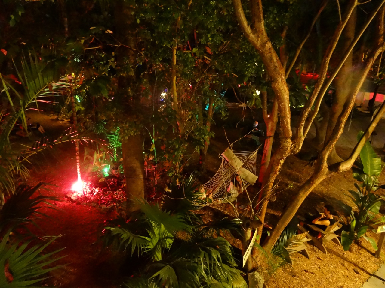 The Backyard