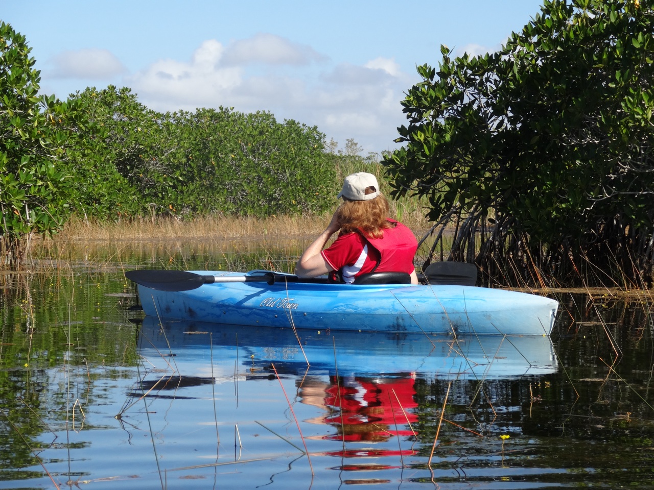 Paddling Through The Everglades