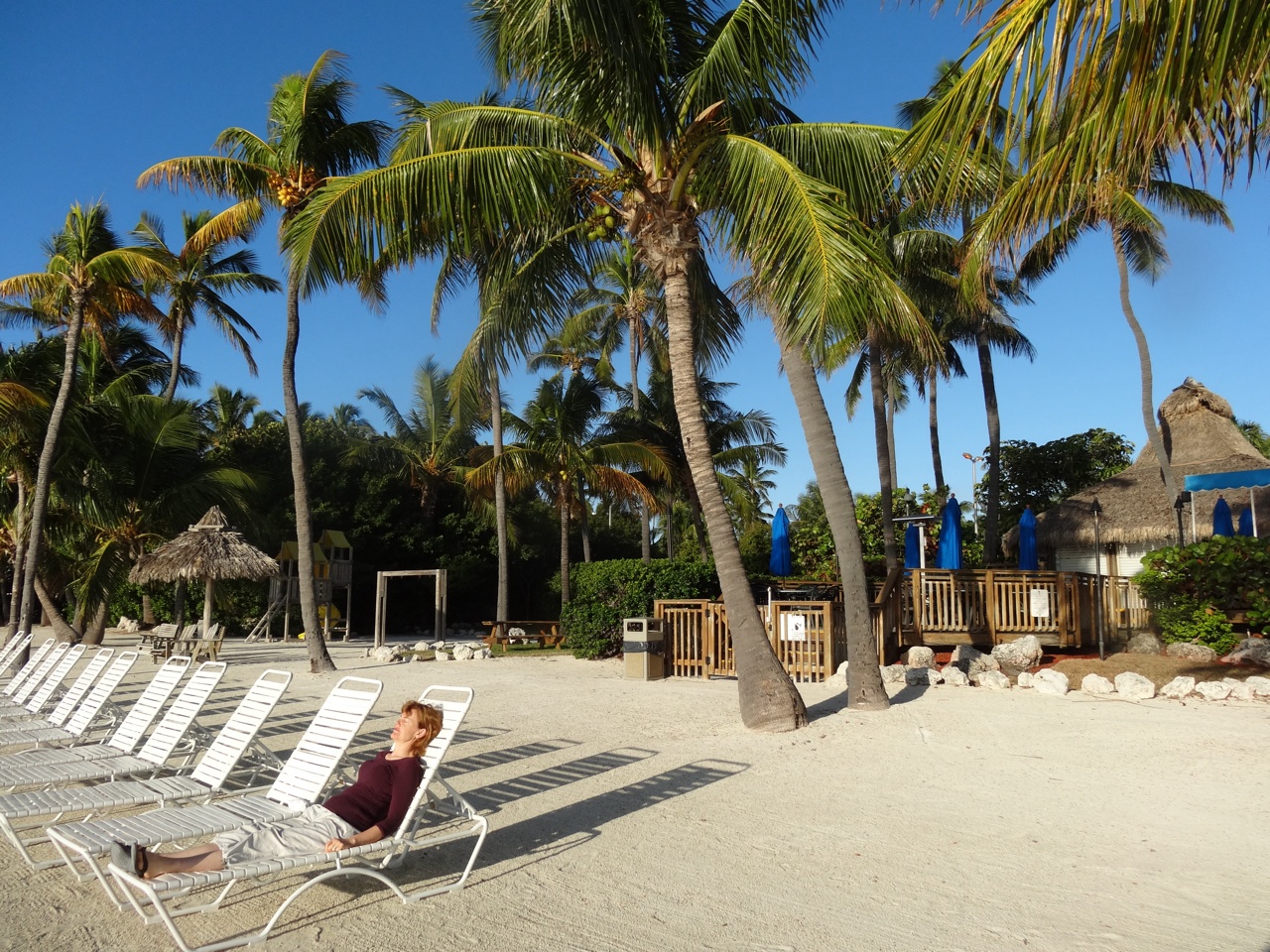The Hotel's Beach