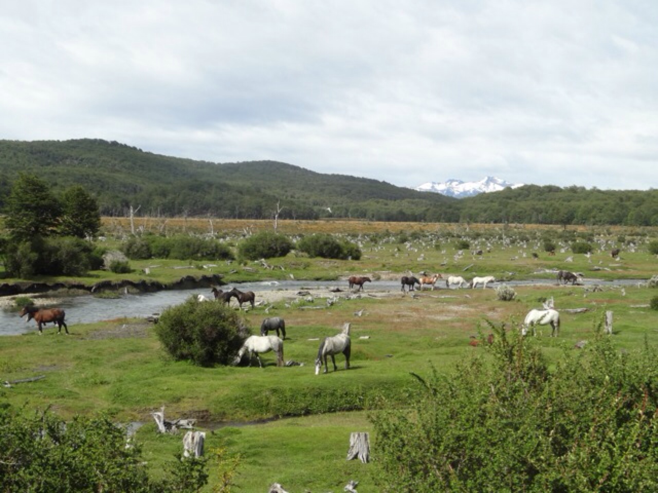 In the National Park