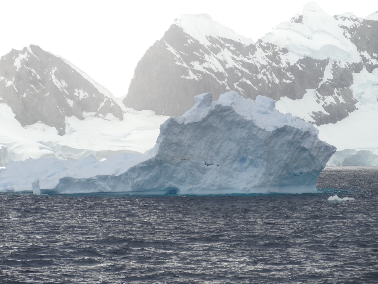 Icebergs Are Blue