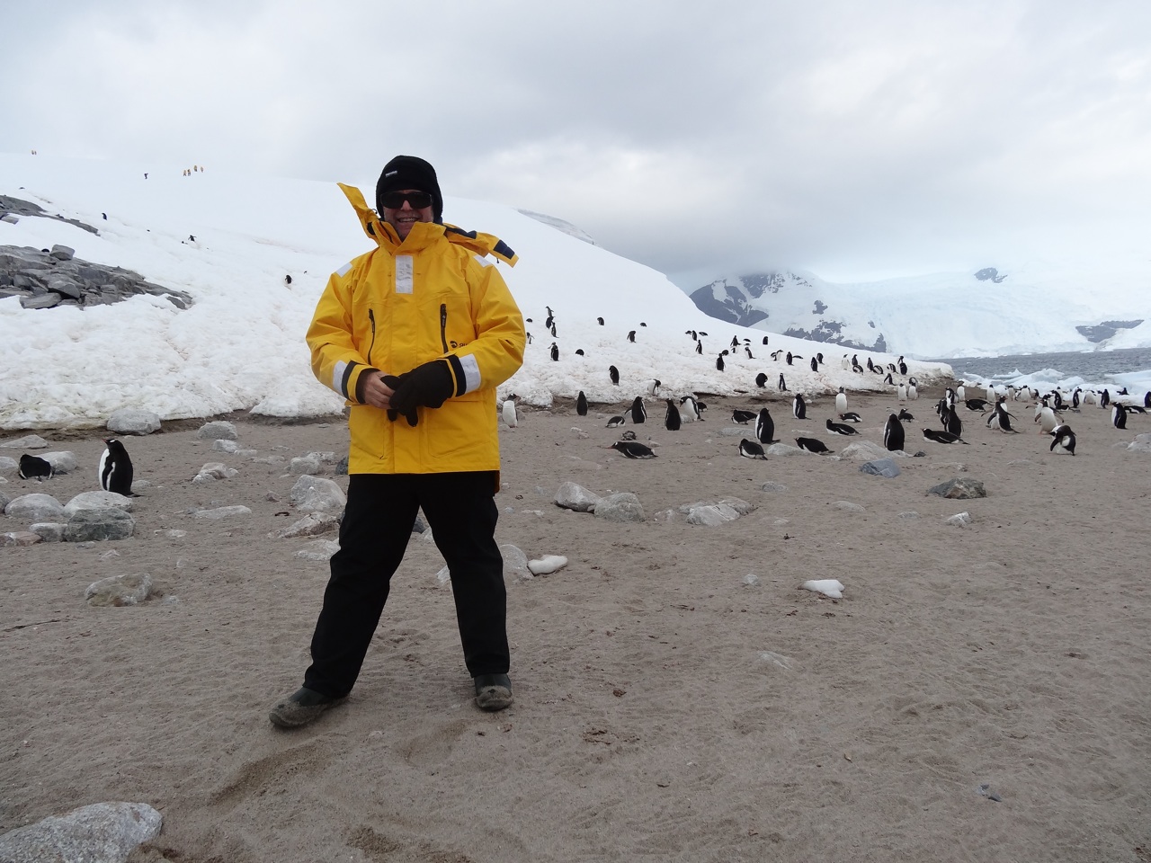 On The Antarctic Peninsular Proper