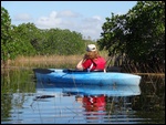 Paddling Through The Everglades