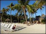 The Hotel's Beach