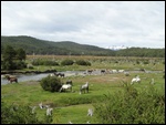 In the National Park
