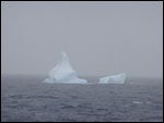 Our First Iceberg