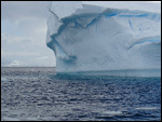 Iceberg