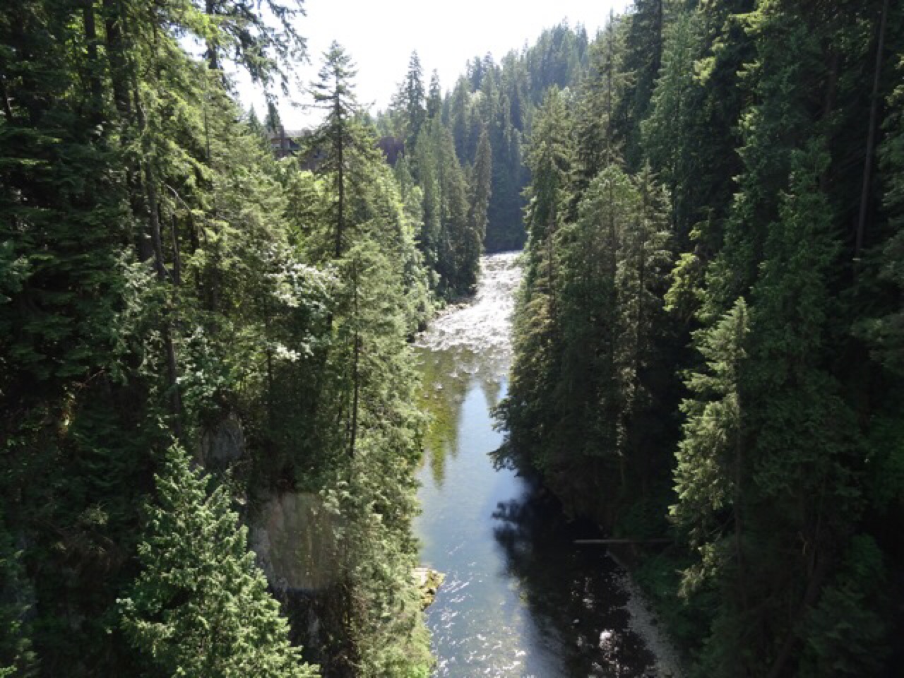 The River