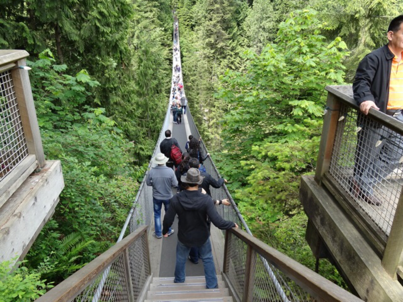 The Suspension Bridge