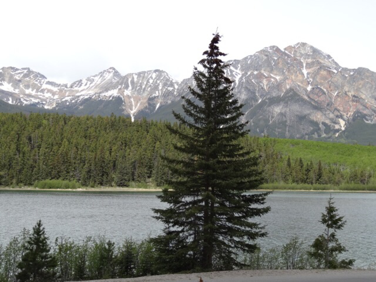 Patricia Lake