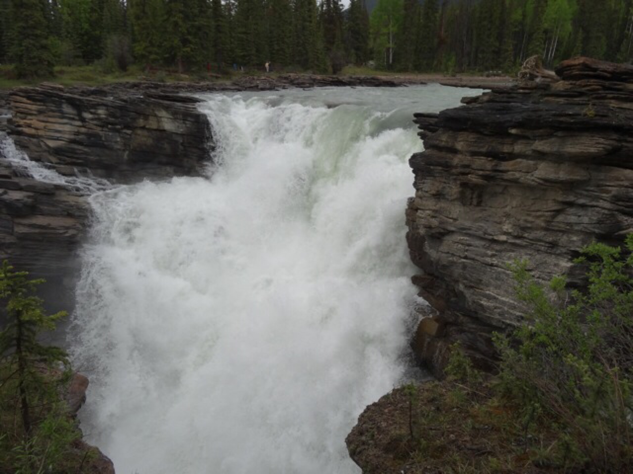 Athabasca Falls