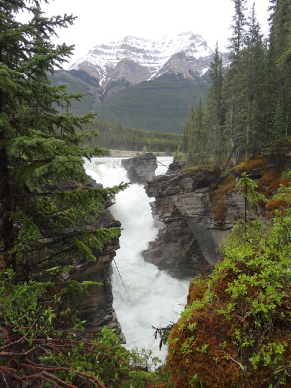 Athabasca Falls