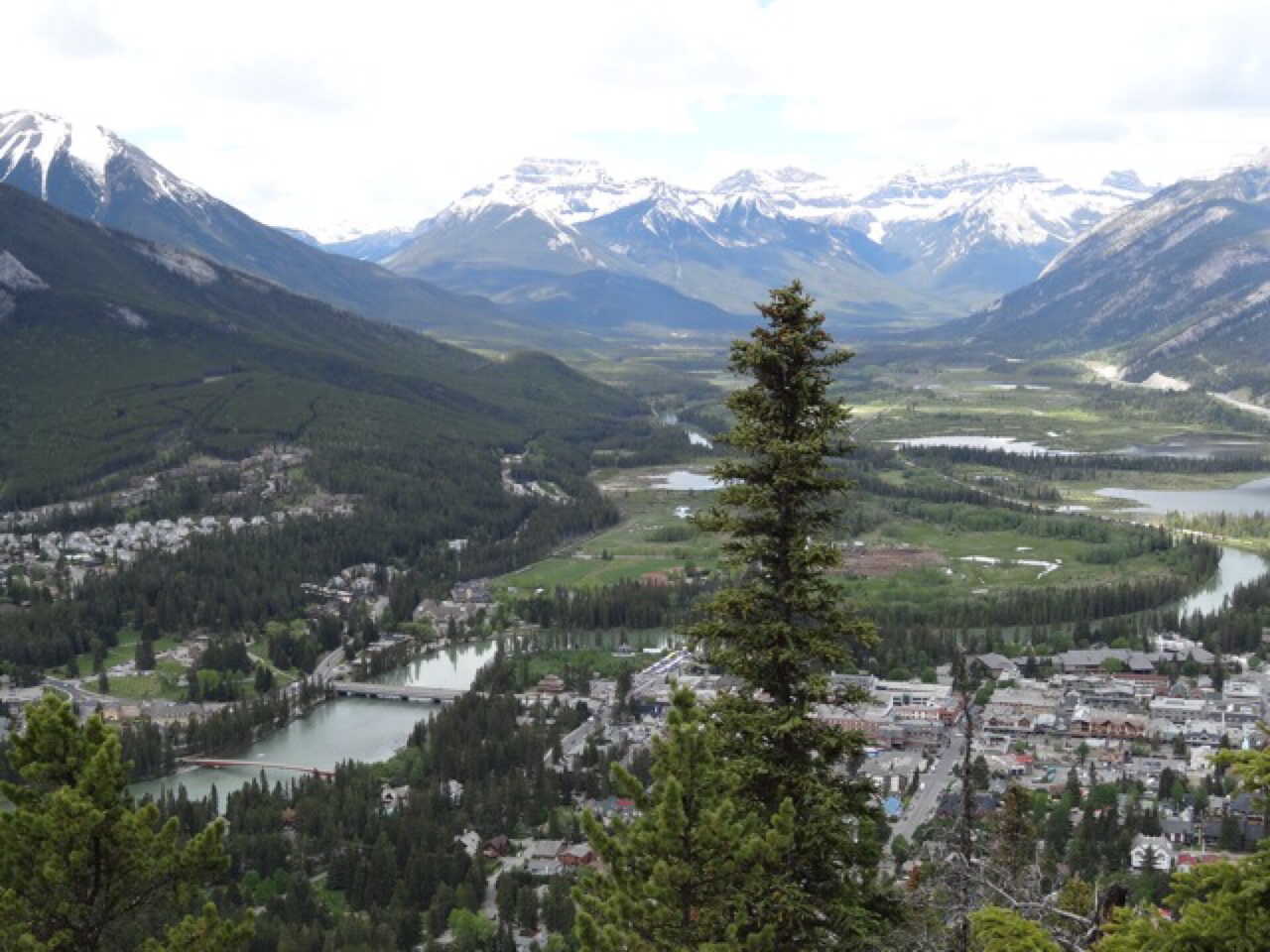 Banff From Tunnel Mountain