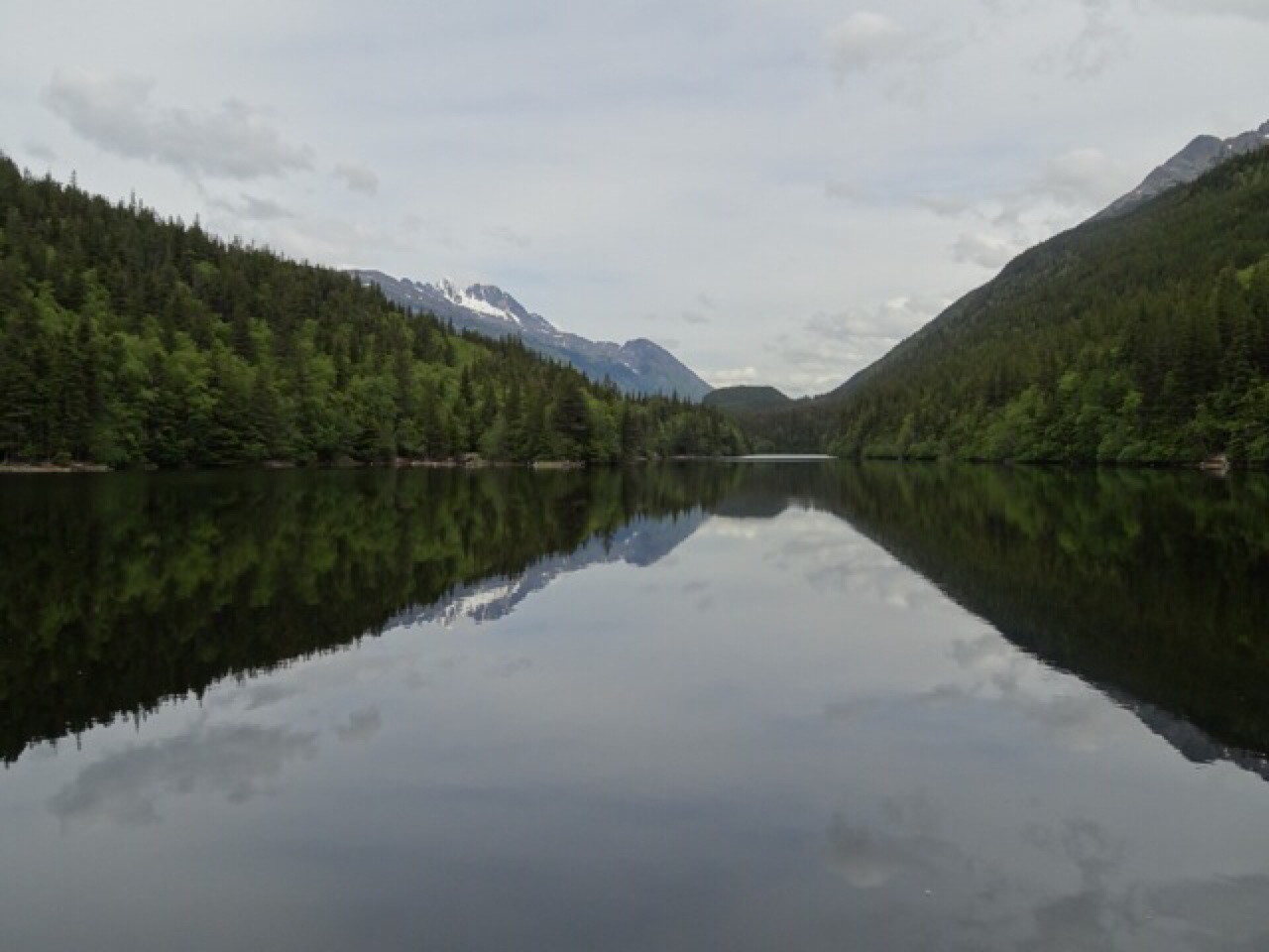A Still Day