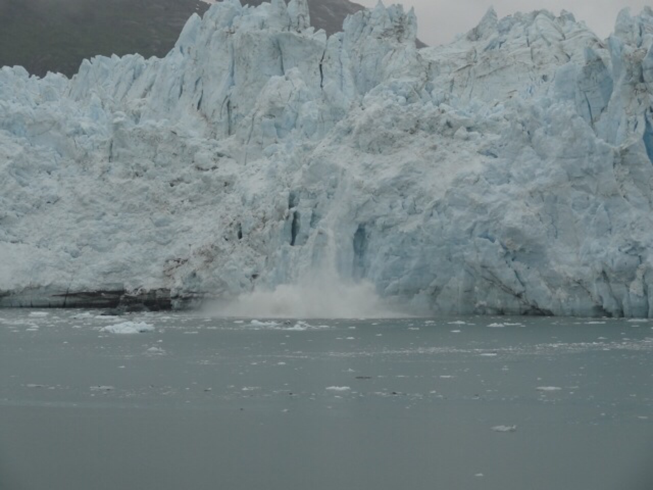 Calving