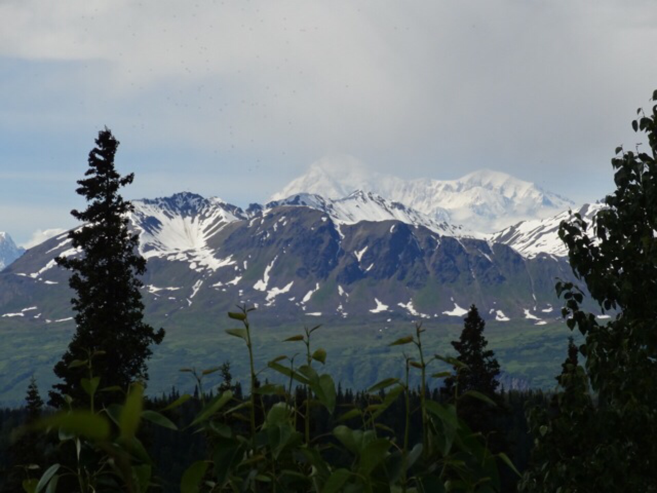 Mt McKinley