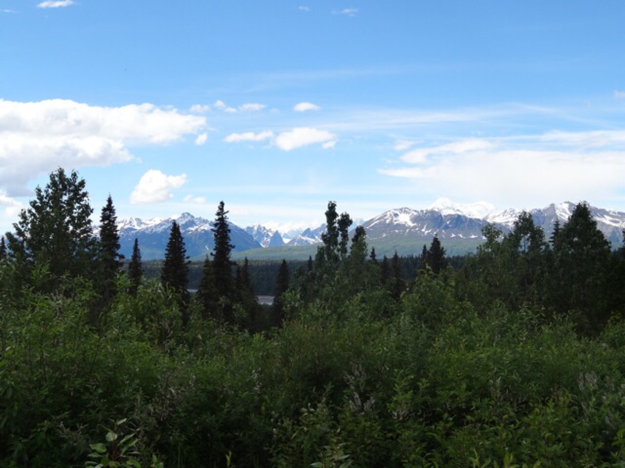 The Denali Range