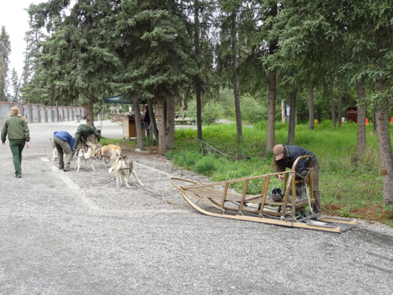 Huskies and Their Sled