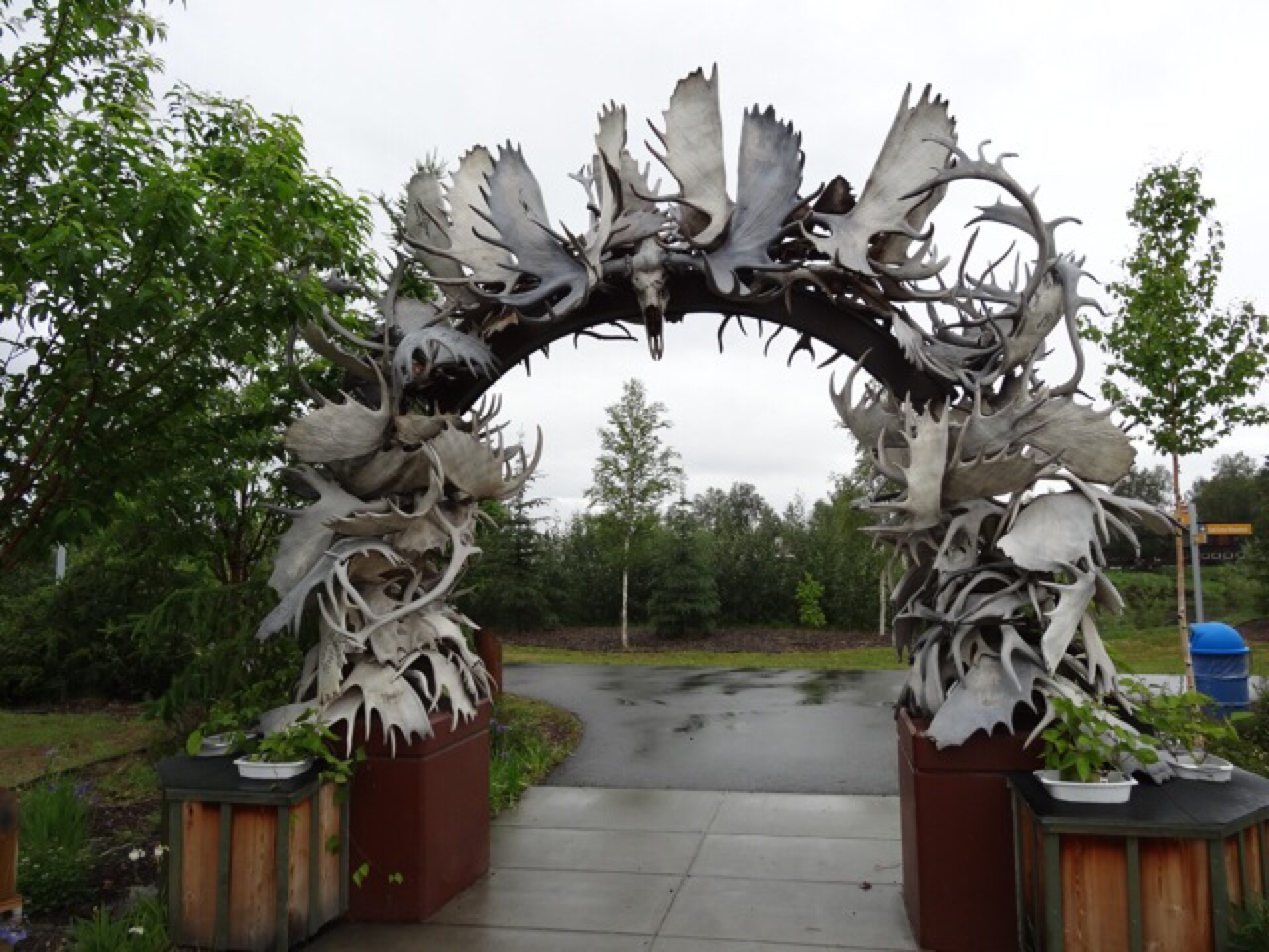 Antler Arch