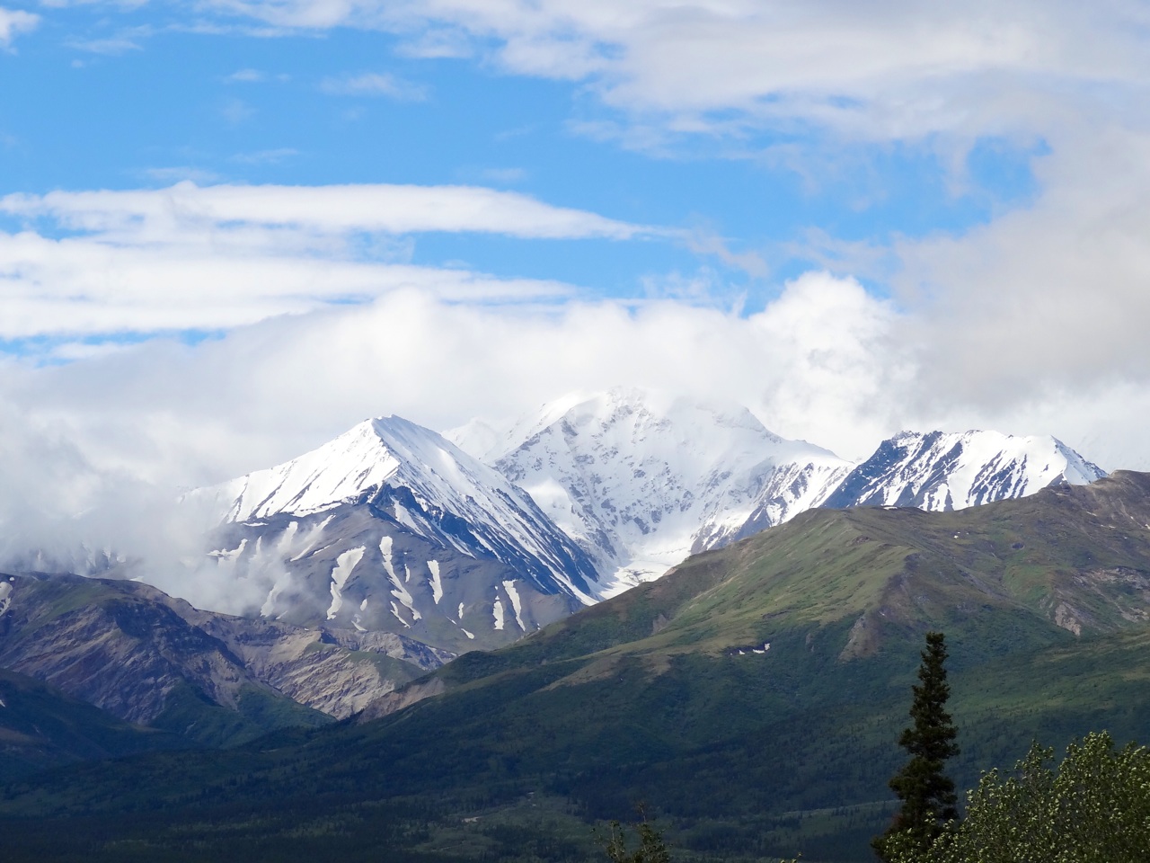 Mt Hayes