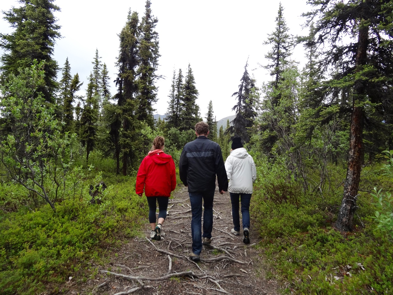 Hiking Up The Trail