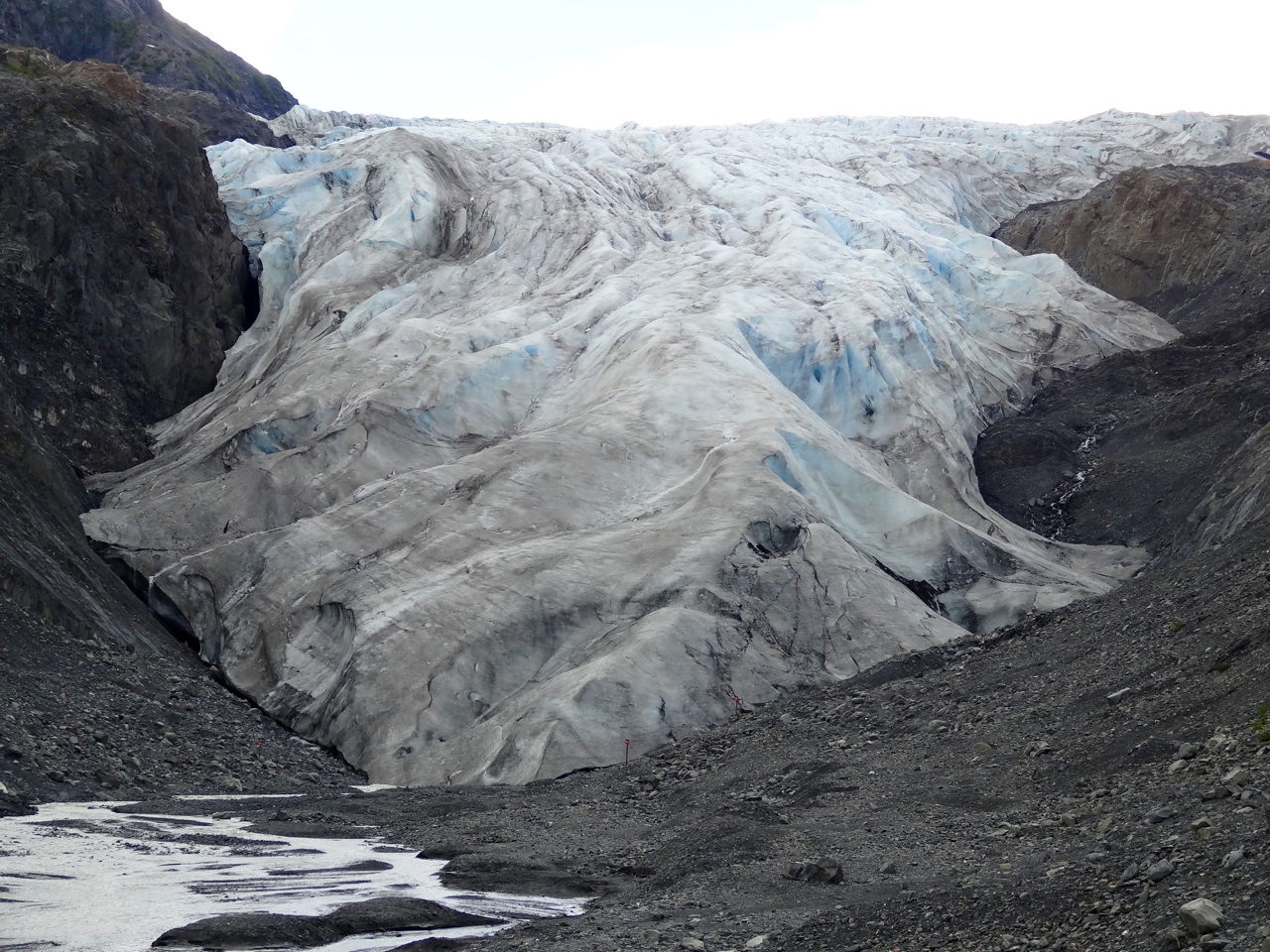 Exit Glacier